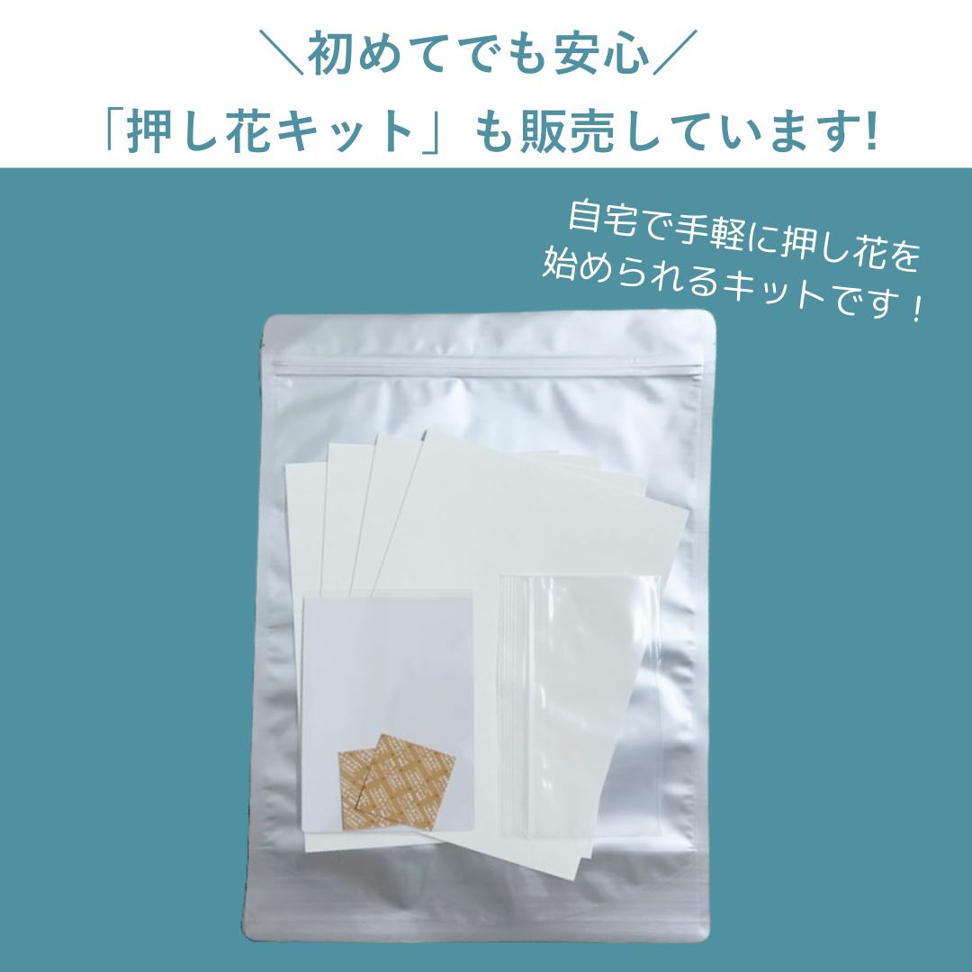 押し花キット版 押し花乾燥シート (B5サイズ)《追加購入
