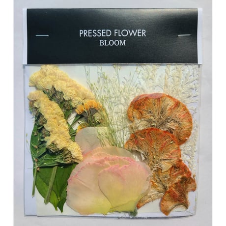 【押し花｜花材セット スモークグラス Pressed Flower Kit ギフト・ウェルカムボードなどのハンドメイドに】F-595 BLOOM MAISON