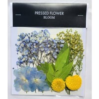 【押し花｜花材セット カスミソウ Pressed Flower Kit ギフト・ウェルカムボードなどのハンドメイドに】F-509 BLOOM MAISON