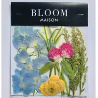 押し花｜花材セット ミラビフローラ Pressed Flower Kit インテリア・ギフト・ウェルカムボードなどのハンドメイドに　F-929 BLOOM MAISON