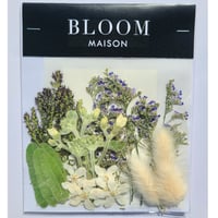 押し花｜花材セット ラグラス Pressed Flower Kit インテリア・ギフト・ウェルカムボードなどのハンドメイドに　F-933 BLOOM MAISON