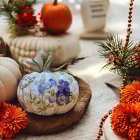 押し花のお教室：プティレッスン_押し花で彩るかぼちゃのオブジェを作ろう！