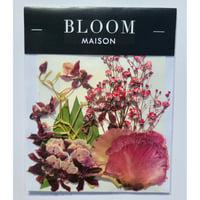 押し花｜花材セット オンシジューム Pressed Flower Kit インテリア・ギフト・ウェルカムボードなどのハンドメイドに　F-913 BLOOM MAISON