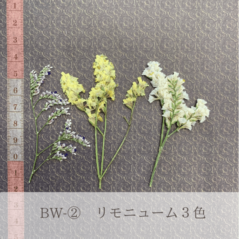 65cb2185e6849803c80661fc