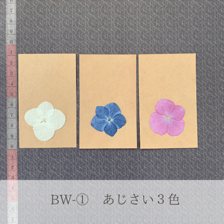 押し花エスコートカード花材　（30名様分）