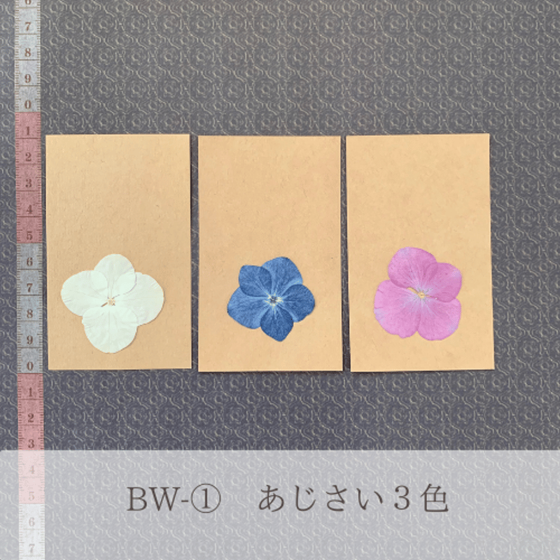 押し花エスコートカード花材 （30名様分） | BLOOM MAISON