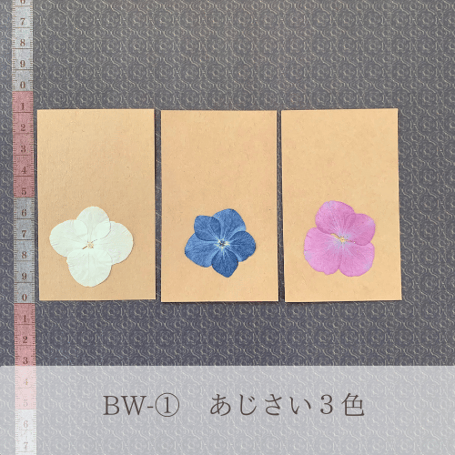 65cb2185e6849803c80661fc