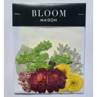 押し花｜花材セット スプレーマム Pressed Flower Kit インテリア・ギフト・ウェルカムボードなどのハンドメイドに　F-881 BLOOM MAISON