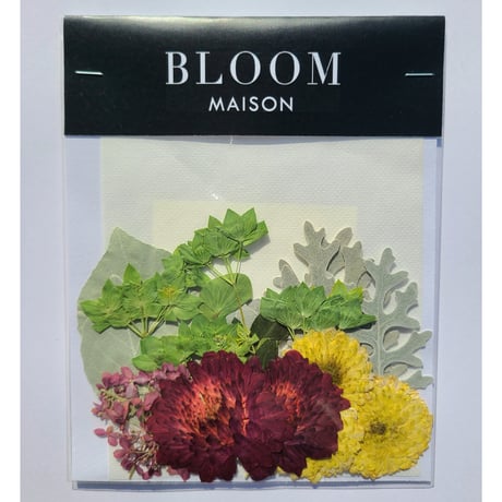 押し花｜花材セット スプレーマム Pressed Flower Kit インテリア・ギフト・ウェルカムボードなどのハンドメイドに　F-881 BLOOM MAISON