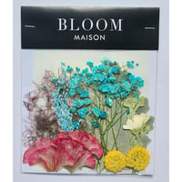 押し花｜花材セット スモークツリー Pressed Flower Kit インテリア・ギフト・ウェルカムボードなどのハンドメイドに　F-1059 BLOOM MAISON