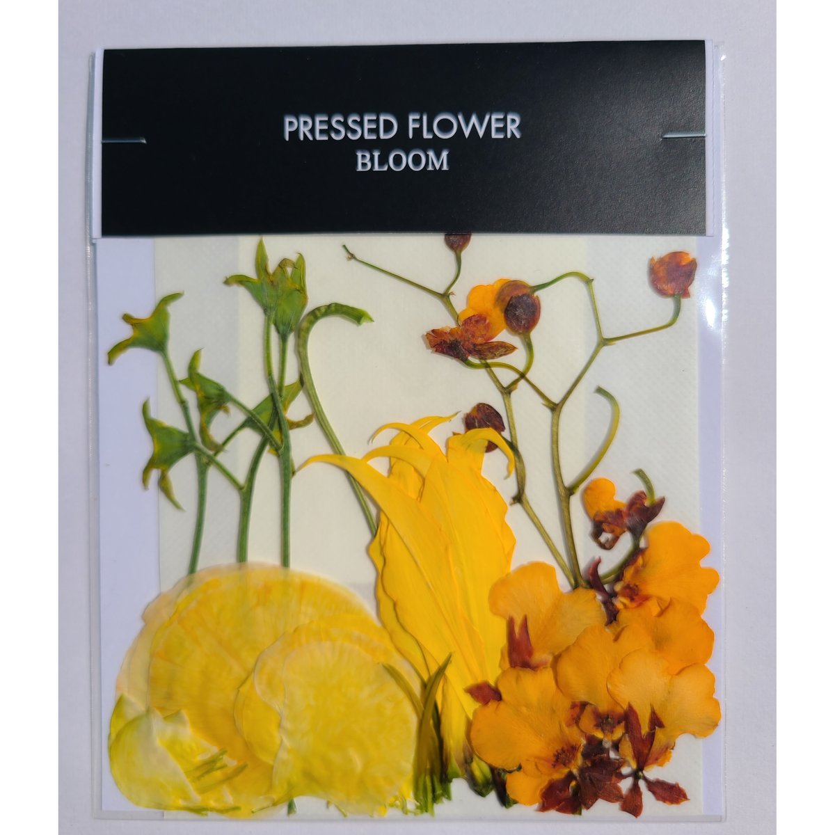 グロリオサ 押し花｜花材セット 】F-376 | BLOOM MAISON