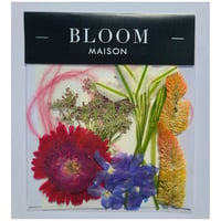 押し花｜花材セット ミラビフローラ Pressed Flower Kit インテリア・ギフト・ウェルカムボードなどのハンドメイドに　F-956 BLOOM MAISON
