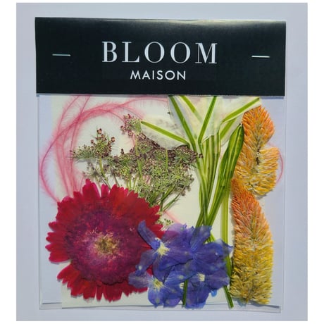 押し花｜花材セット ミラビフローラ Pressed Flower Kit インテリア・ギフト・ウェルカムボードなどのハンドメイドに　F-956 BLOOM MAISON