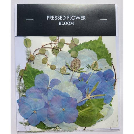 メラスフェルラ No2出来たてホヤホヤ押し花押し花素材 メラスフェルラ No2出来たてホヤホヤ押し花押し花素材