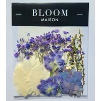 押し花｜花材セット 雪柳 Pressed Flower Kit インテリア・ギフト・ウェルカムボードなどのハンドメイドに　F-893 BLOOM MAISON