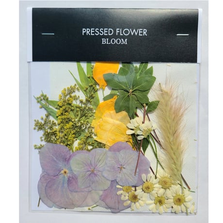 【押し花｜花材セット サンダーソニア Pressed Flower Kit ギフト・ウェルカムボードなどのハンドメイドに】F-651 BLOOM MAISON