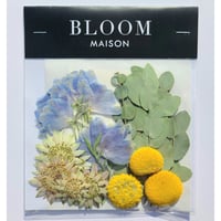 押し花｜花材セット ジャンボデルフィニウム Pressed Flower Kit インテリア・ギフト・ウェルカムボードなどのハンドメイドに　F-734 BLOOM MAISON