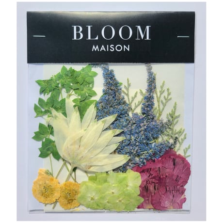 押し花｜花材セット アスチルベ Pressed Flower Kit インテリア・ギフト・ウェルカムボードなどのハンドメイドに　F-1025 BLOOM MAISON
