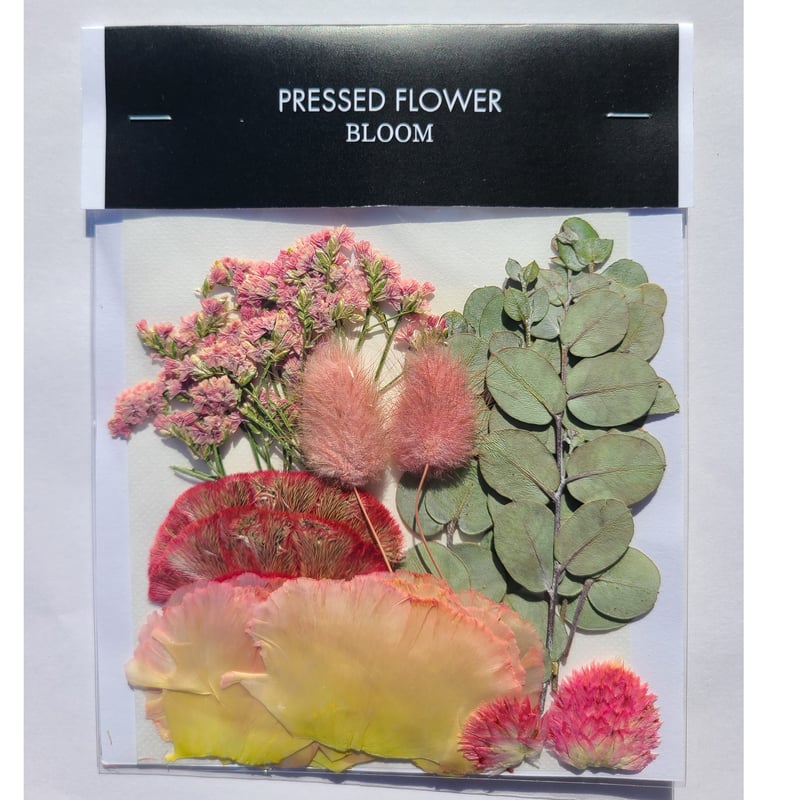 花かごの押し花 押し花｜花材セット トルコキキョウ Pressed Flower Kit ギフト