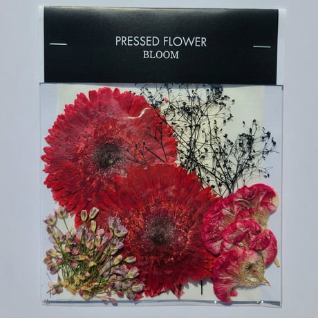 【押し花｜花材セット プリザーブドフラワーカスミソウ Pressed Flower Kit ギフト・ウェルカムボードなどのハンドメイドに】F-670 BLOOM MAISON