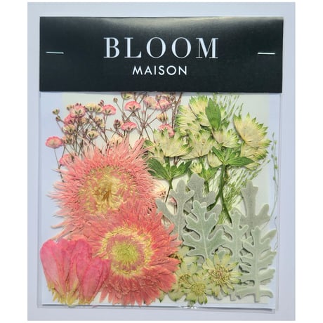 押し花｜花材セット ガーベラ Pressed Flower Kit インテリア・ギフト・ウェルカムボードなどのハンドメイドに　F-1029 BLOOM MAISON