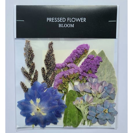 【押し花｜花材セット ラムズイヤー Pressed Flower Kit ギフト・ウェルカムボードなどのハンドメイドに】F-609 BLOOM MAISON