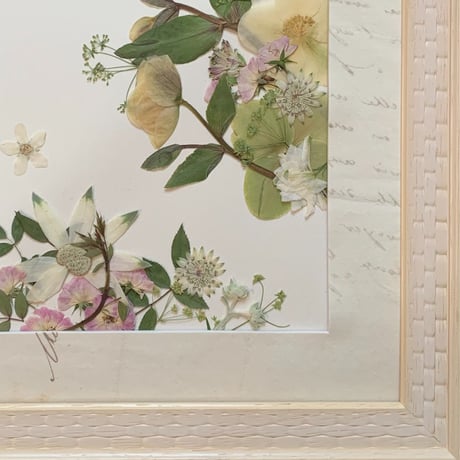 【2025年9月～12月】押し花のお教室：１Dayレッスン：トリニティ　※A～Cの中から1点お選びください