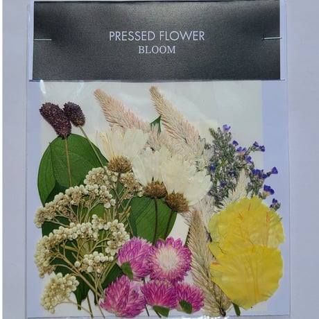 【押し花｜花材セット 千日紅  Pressed Flower Kit ギフト・ウエルカムボードなどのハンドメイドに】F-388 BLOOM MAISON