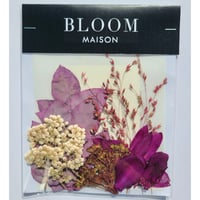 押し花｜花材セット ガマズミ Pressed Flower Kit インテリア・ギフト・ウェルカムボードなどのハンドメイドに　F-1070 BLOOM MAISON