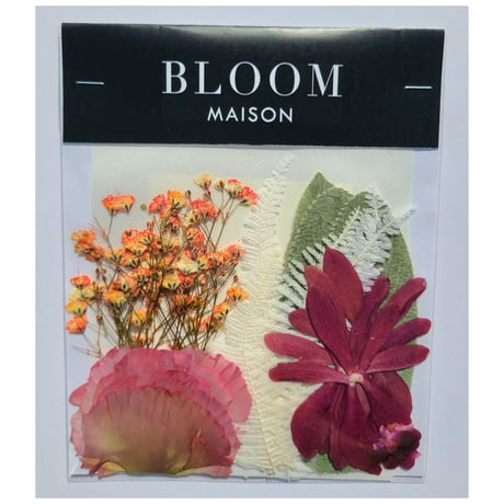 押し花｜花材セット ラムズイヤー Pressed Flower Kit インテリア・ギフト・ウェルカムボードなどのハンドメイドに　F-1008 BLOOM MAISON