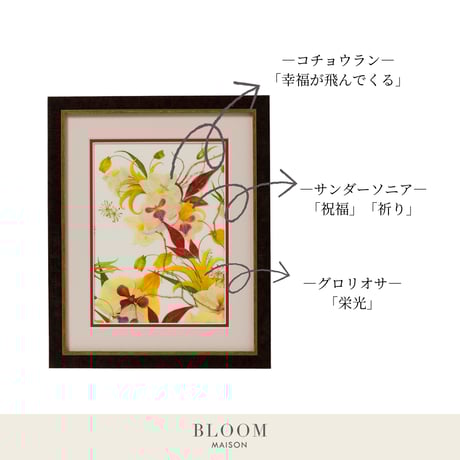 押し花ギフト【REGALOコレクション】フルール・グロワール ～栄光の花～｜胡蝶蘭の押し花アート｜BLOOMART【周年・還暦祝い】 W270×H331×D22（㎜）