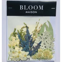 押し花｜花材セット アスチルベ Pressed Flower Kit インテリア・ギフト・ウェルカムボードなどのハンドメイドに　F-944 BLOOM MAISON