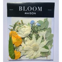 押し花｜花材セット ワスレナグサ Pressed Flower Kit インテリア・ギフト・ウェルカムボードなどのハンドメイドに　F-919 BLOOM MAISON