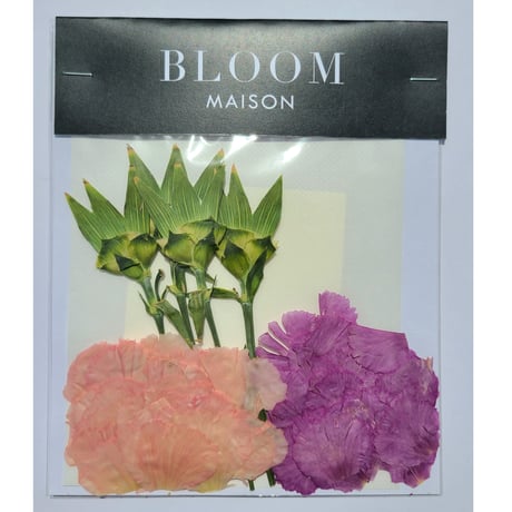 押し花｜花材セット カーネーション Pressed Flower Kit インテリア・ギフト・ウェルカムボードなどのハンドメイドに　F-981 BLOOM MAISON