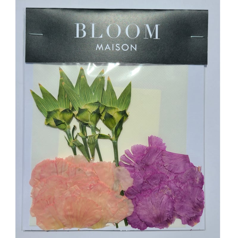 押し花｜花材セット カーネーション Pressed Flower Kit インテリア