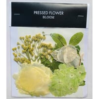 【押し花｜花材セット ルナリア Pressed Flower Kit ギフト・ウェルカムボードなどのハンドメイドに】F-555 BLOOM MAISON