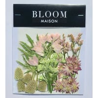 押し花｜花材セット アストランティア Pressed Flower Kit インテリア・ギフト・ウェルカムボードなどのハンドメイドに　F-952 BLOOM MAISON