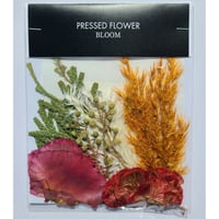【押し花｜花材セット トルコキキョウ Pressed Flower Kit ギフト・ウェルカムボードなどのハンドメイドに】F-572 BLOOM MAISON