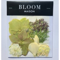 押し花｜花材セット クリスマスローズ Pressed Flower Kit インテリア・ギフト・ウェルカムボードなどのハンドメイドに　F-915 BLOOM MAISON