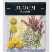 押し花｜花材セット イタルス Pressed Flower Kit インテリア・ギフト・ウェルカムボードなどのハンドメイドに　F-725 BLOOM MAISON