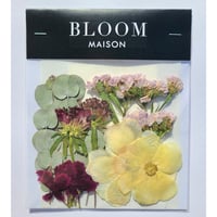 押し花｜花材セット ユーカリ Pressed Flower Kit インテリア・ギフト・ウェルカムボードなどのハンドメイドに　F-899 BLOOM MAISON