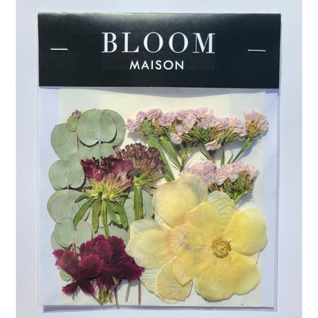 押し花｜花材セット ユーカリ Pressed Flower Kit インテリア・ギフト・ウェルカムボードなどのハンドメイドに　F-899 BLOOM MAISON