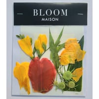 押し花｜花材セット フリージア Pressed Flower Kit インテリア・ギフト・ウェルカムボードなどのハンドメイドに　F-866 BLOOM MAISON