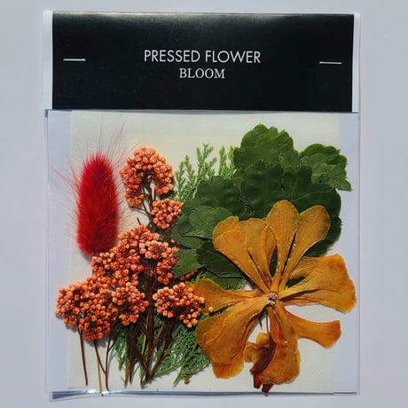 【押し花｜花材セット ポリシャス Pressed Flower Kit ギフト・ウェルカムボードなどのハンドメイドに】F-669 BLOOM MAISON