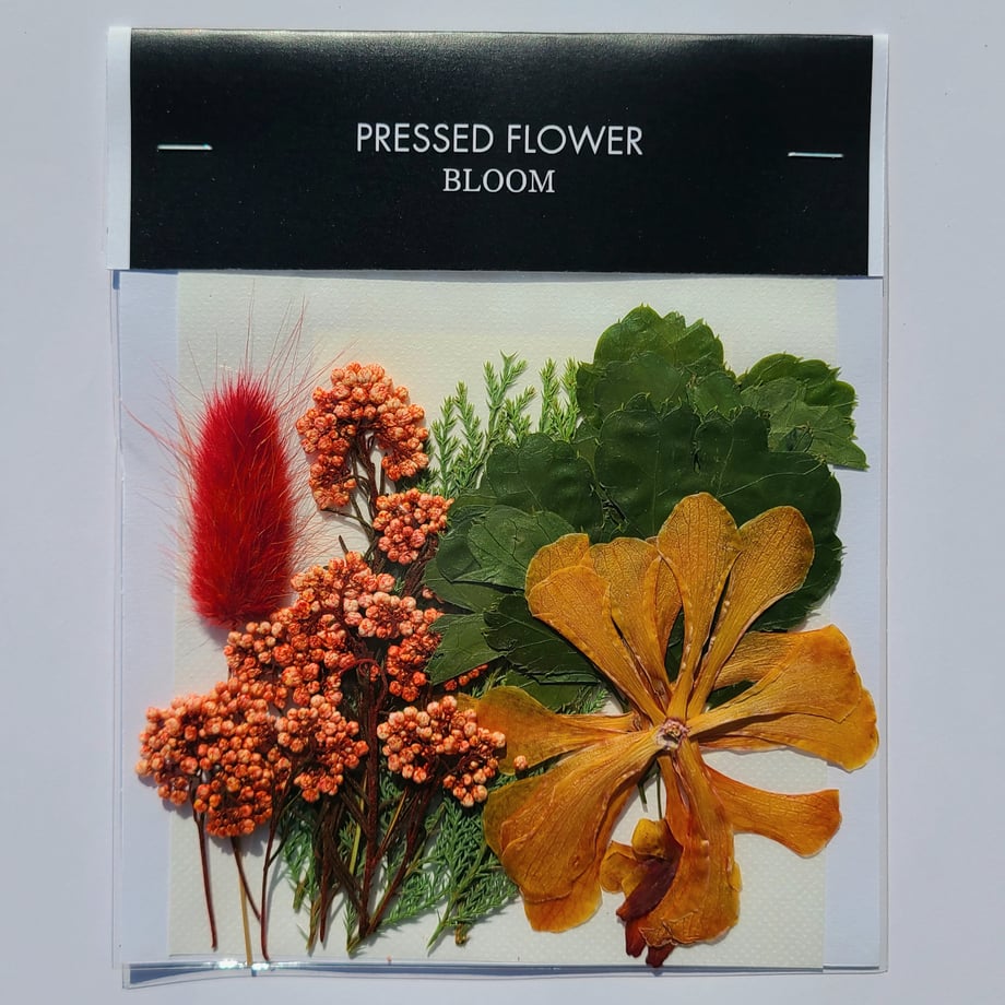 68dcd1ec162c123a56ccdb50