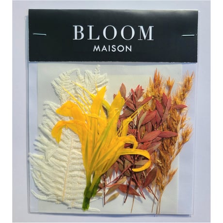 押し花｜花材セット リコリス Pressed Flower Kit インテリア・ギフト・ウェルカムボードなどのハンドメイドに　F-829 BLOOM MAISON