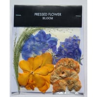 【押し花｜花材セット スモークグラス Pressed Flower Kit ギフト・ウェルカムボードなどのハンドメイドに】F-614 BLOOM MAISON