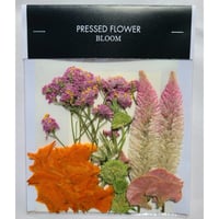 【押し花｜花材セット マリーゴールド Pressed Flower Kit ギフト・ウェルカムボードなどのハンドメイドに】F-518 BLOOM MAISON