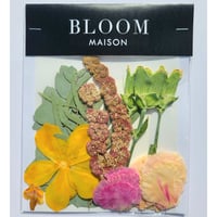 押し花｜花材セット アマランサス Pressed Flower Kit インテリア・ギフト・ウェルカムボードなどのハンドメイドに　F-948 BLOOM MAISON
