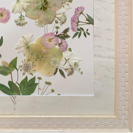 【2025年9月～12月】押し花のお教室：１Dayレッスン：トリニティ　※A～Cの中から1点お選びください